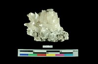 藏品(霰石)的圖片